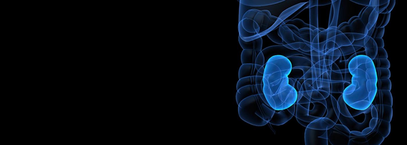 renal_public